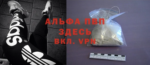 дживик Арсеньев