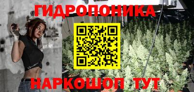 ПСИЛОЦИБИНОВЫЕ ГРИБЫ Ипатово