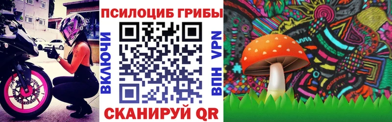 Галлюциногенные грибы MAGIC MUSHROOMS  OMG вход  Нижний Тагил 