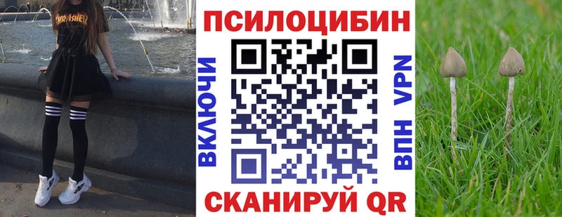 Псилоцибиновые грибы мицелий Нижний Тагил