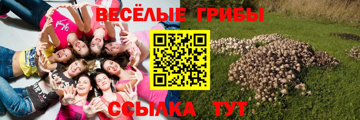 Галлюциногенные грибы ЛСД Нижний Тагил
