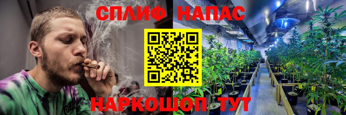 Конопля гибрид  Вход с VPN  Марихуана семена  Бошки Шишки AK-47  Нижний Тагил 